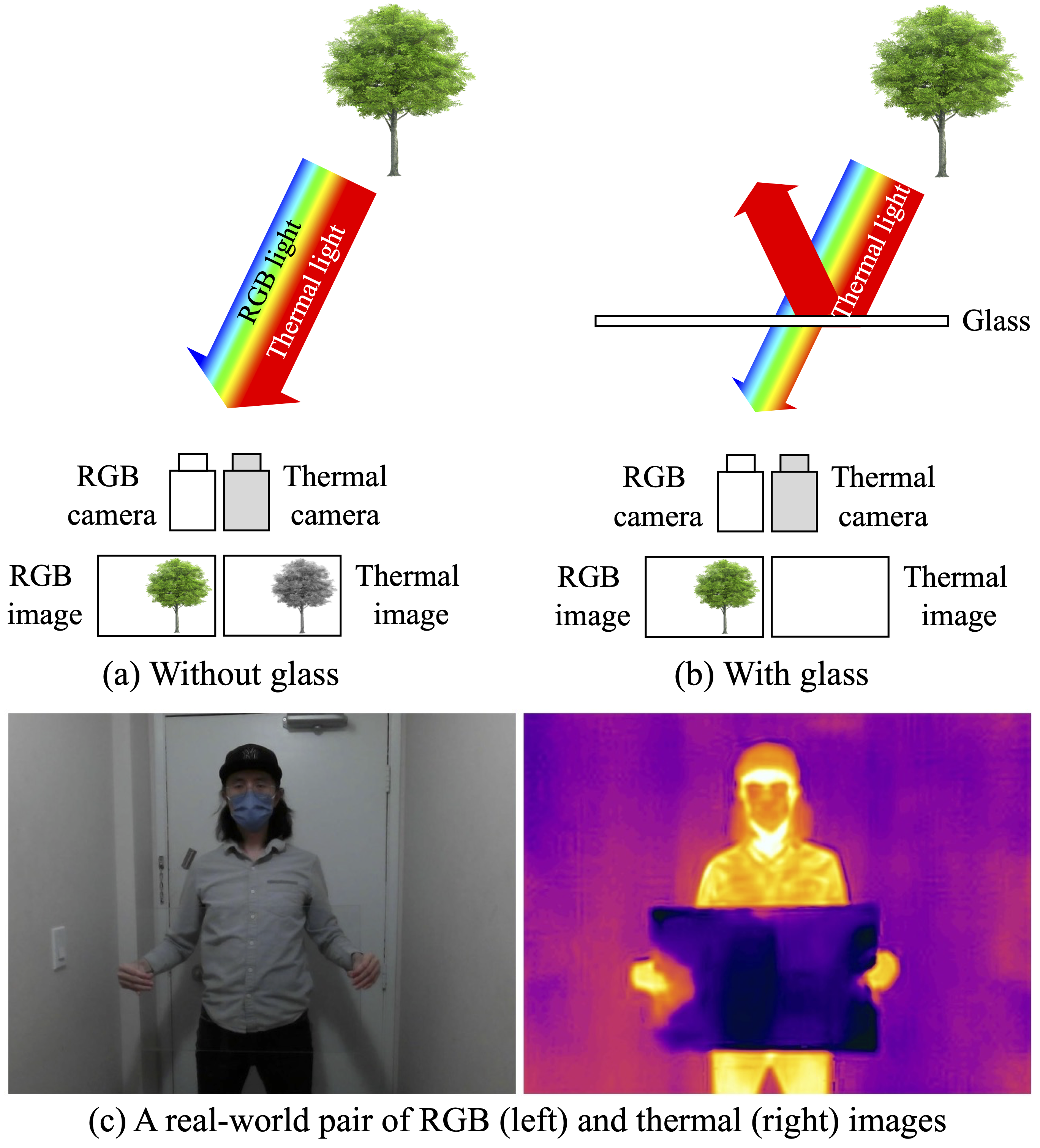 rgb thermal camera