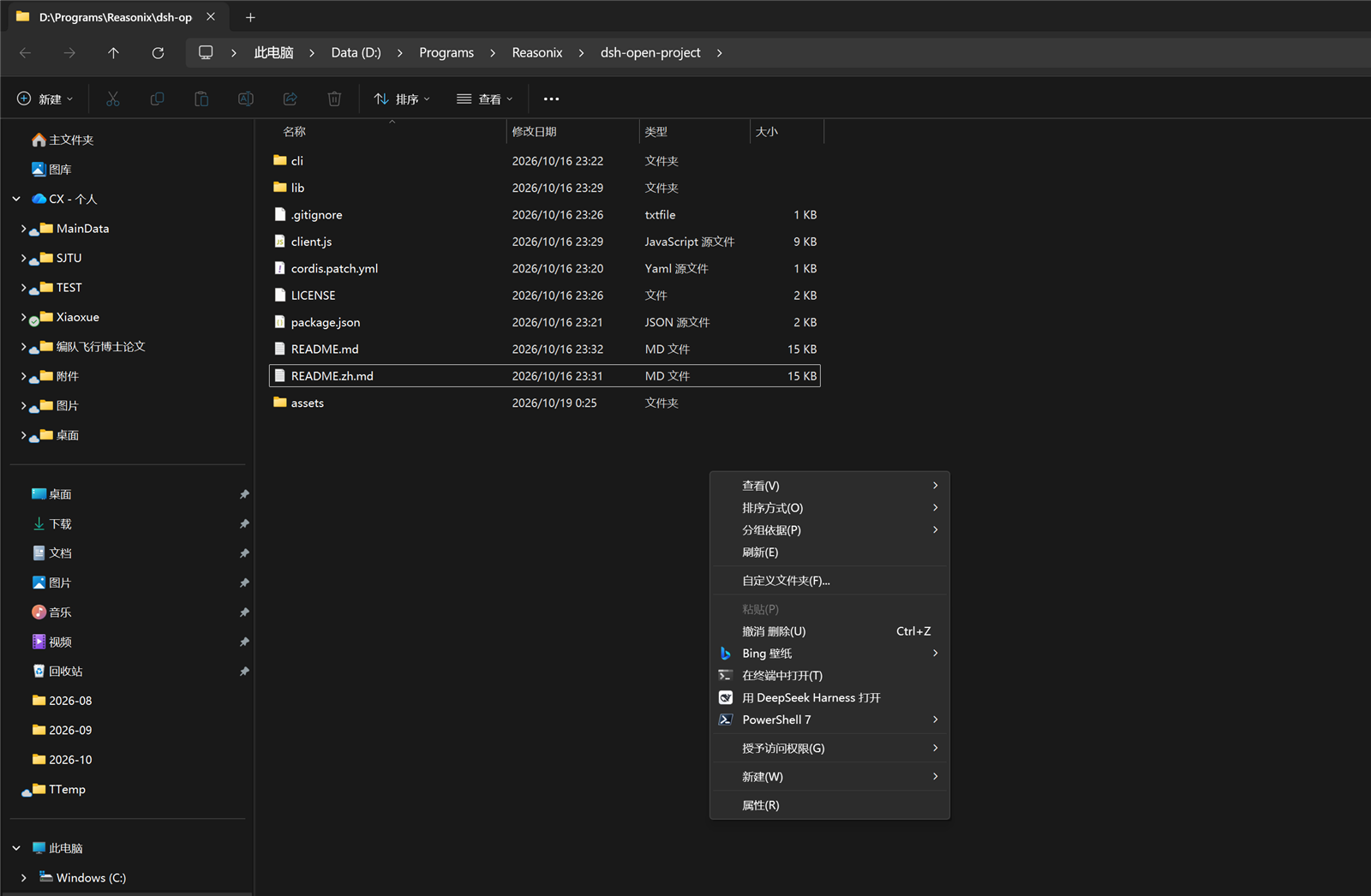 dsh-open-project