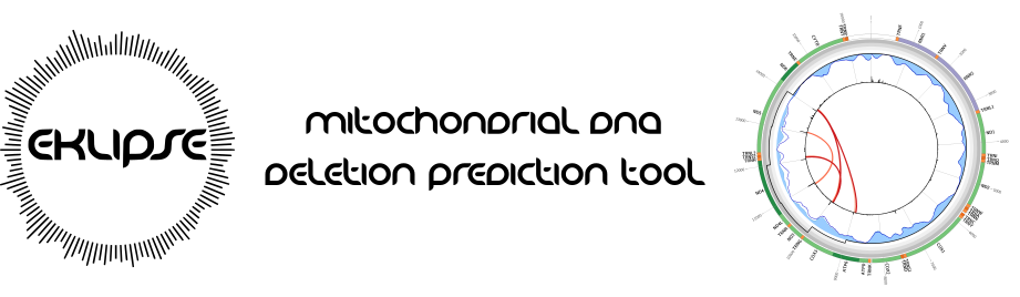 eklipse logo
