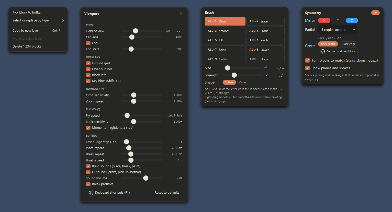 Viewport settings, brush and symmetry panels
