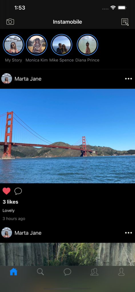 Swift Instagram Clone preview 2