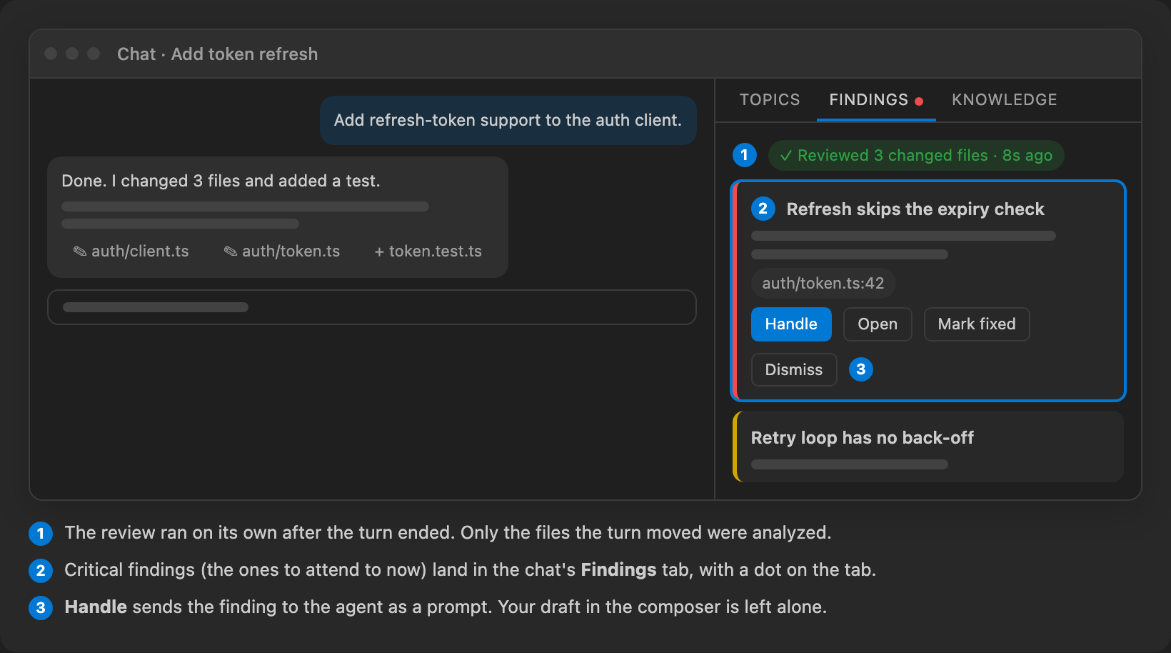 A chat with its side panel on the Findings tab after an automatic review.