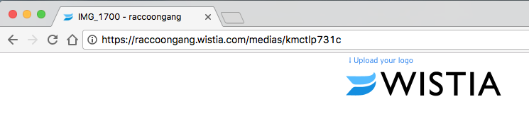 Wistia video URL