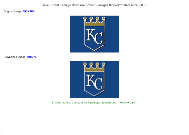 DownSizeImageAppearProperly baseline