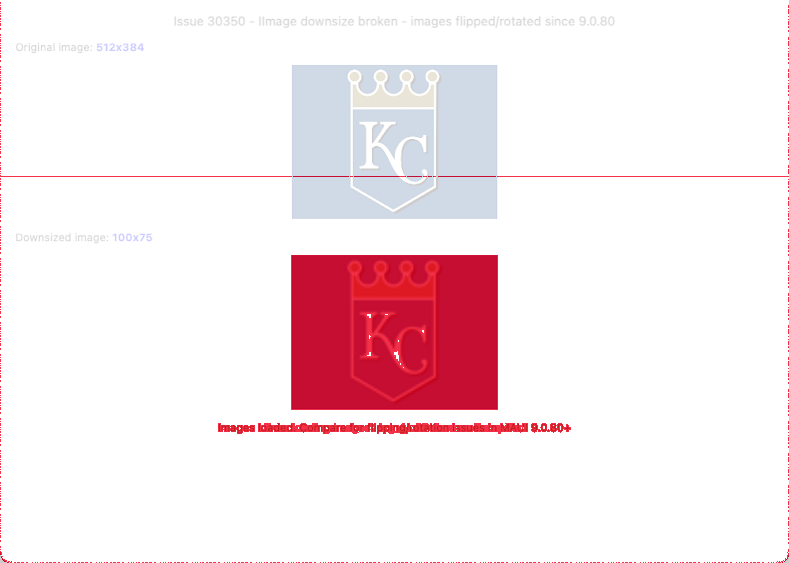 DownSizeImageAppearProperly diff