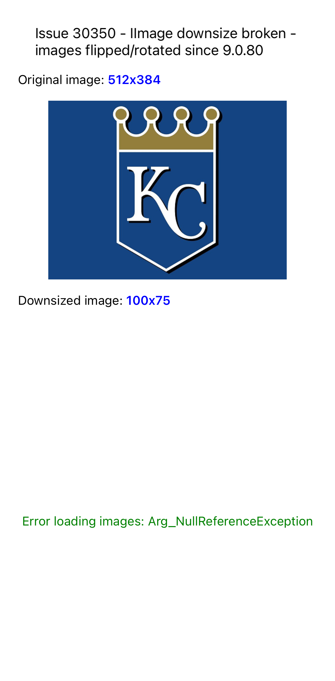 DownSizeImageAppearProperly actual