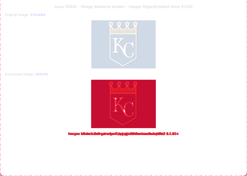 DownSizeImageAppearProperly diff