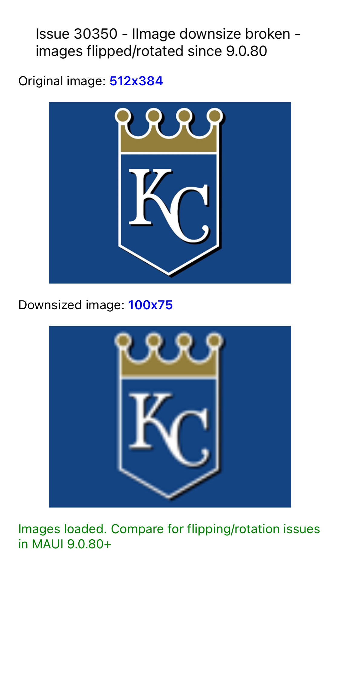 DownSizeImageAppearProperly baseline