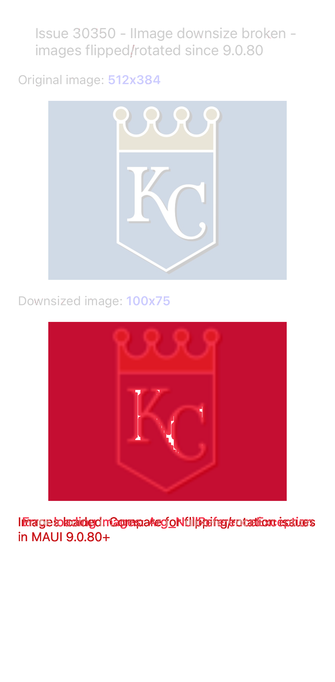 DownSizeImageAppearProperly diff