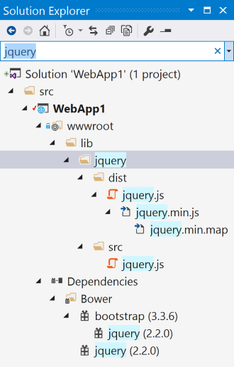 jquery assets shown in the Solution Explorer search results