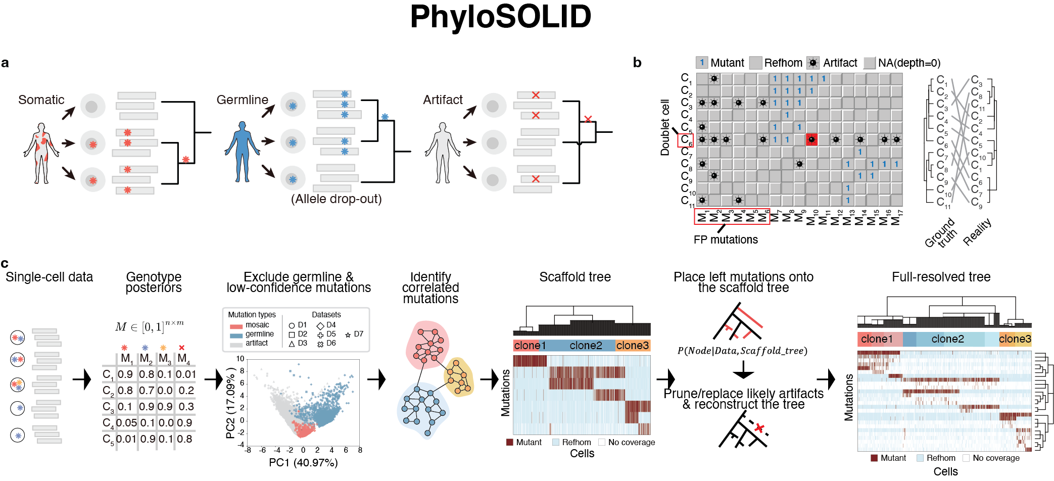 PhyloSOLID workflow overview