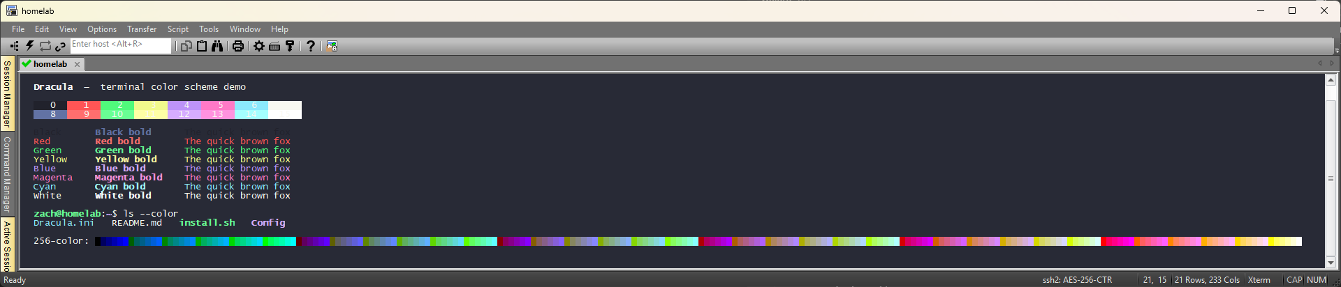 SecureCRT - screenshot 1