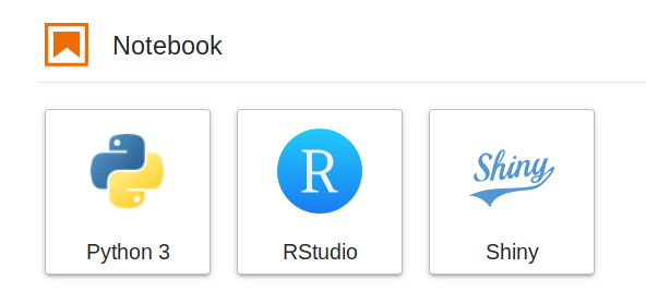 a screenshot of the JupyterLab Launcher