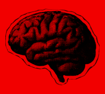 Brain