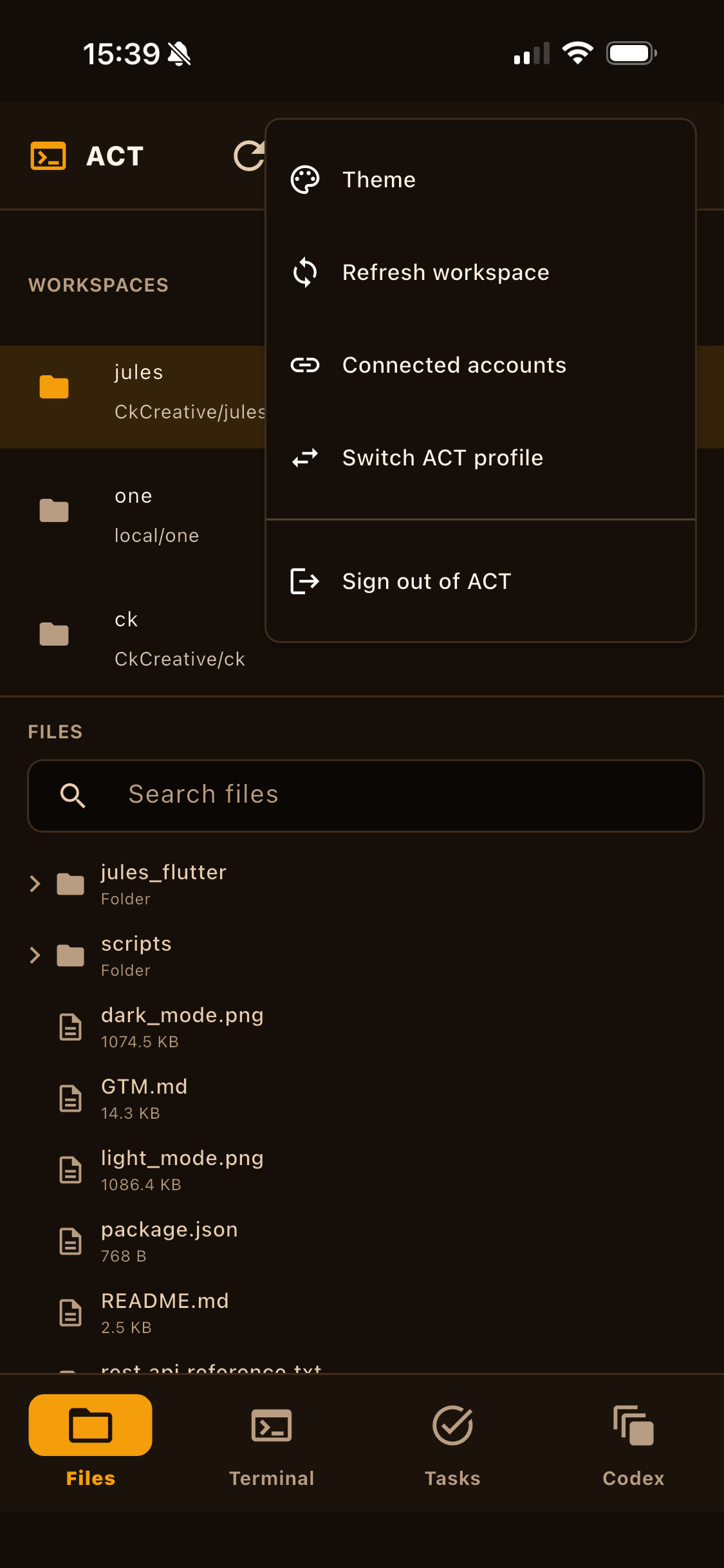 Project files