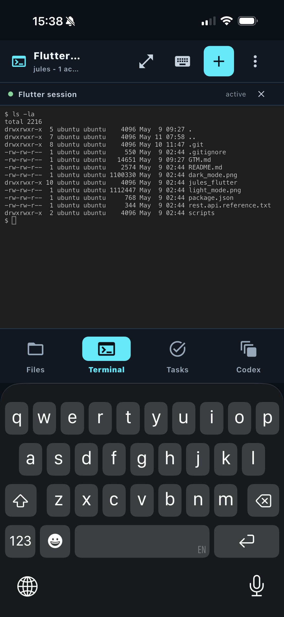 Terminal