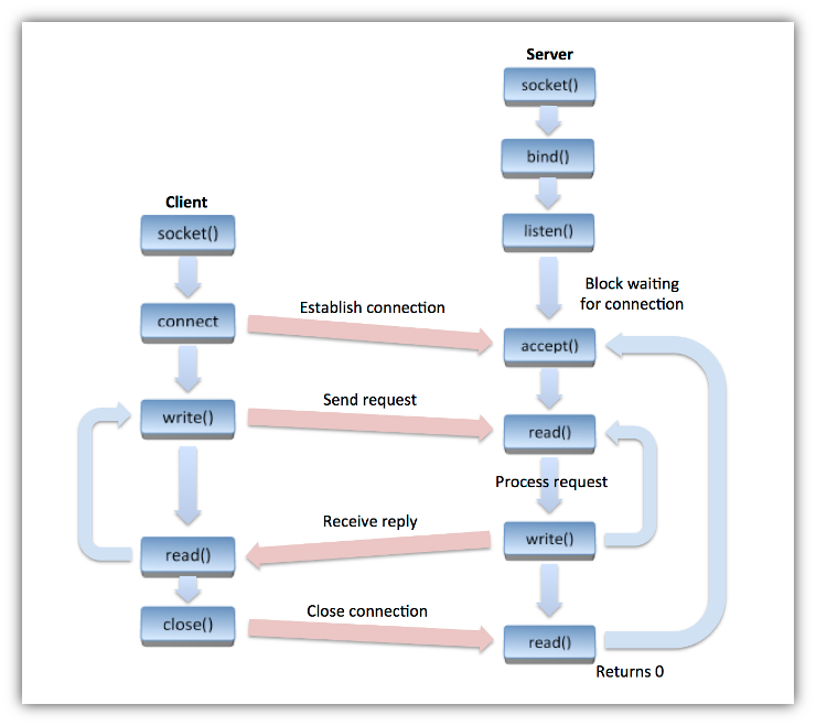 Socket Workflow