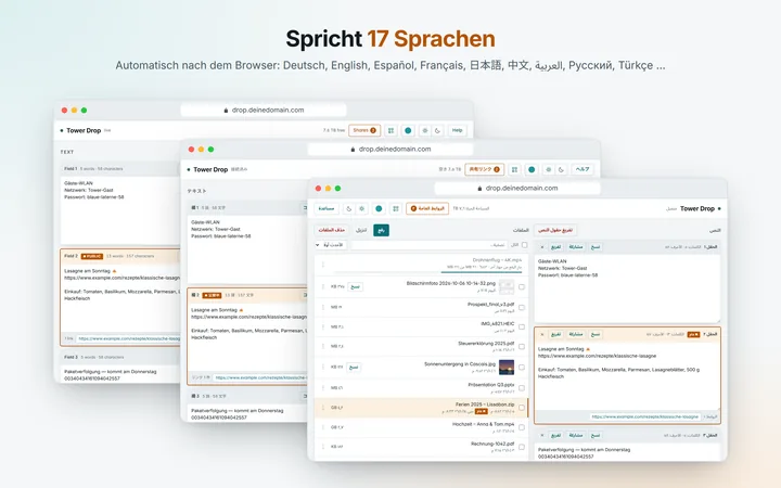 17 Sprachen