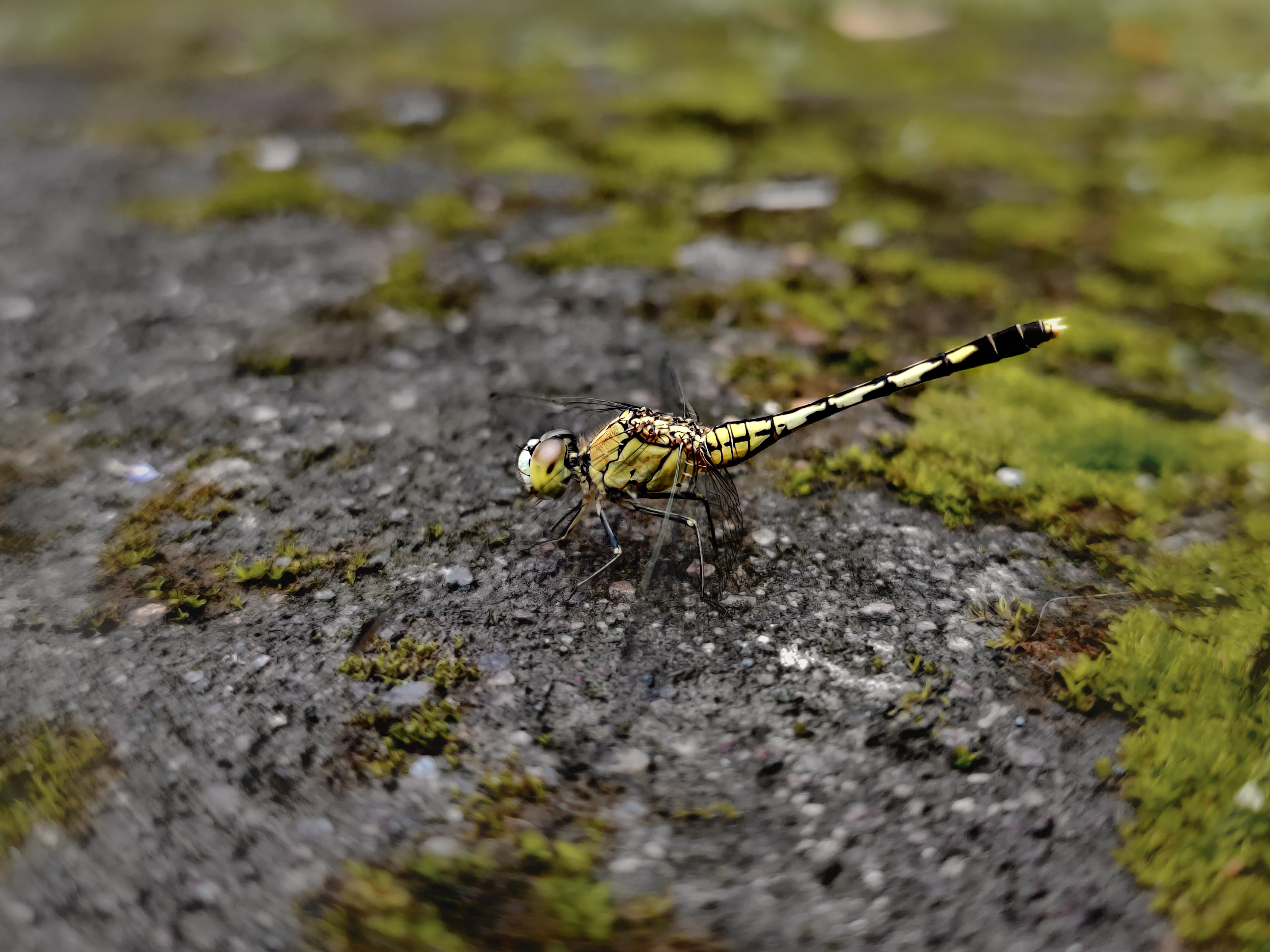 Landscape Photo 8