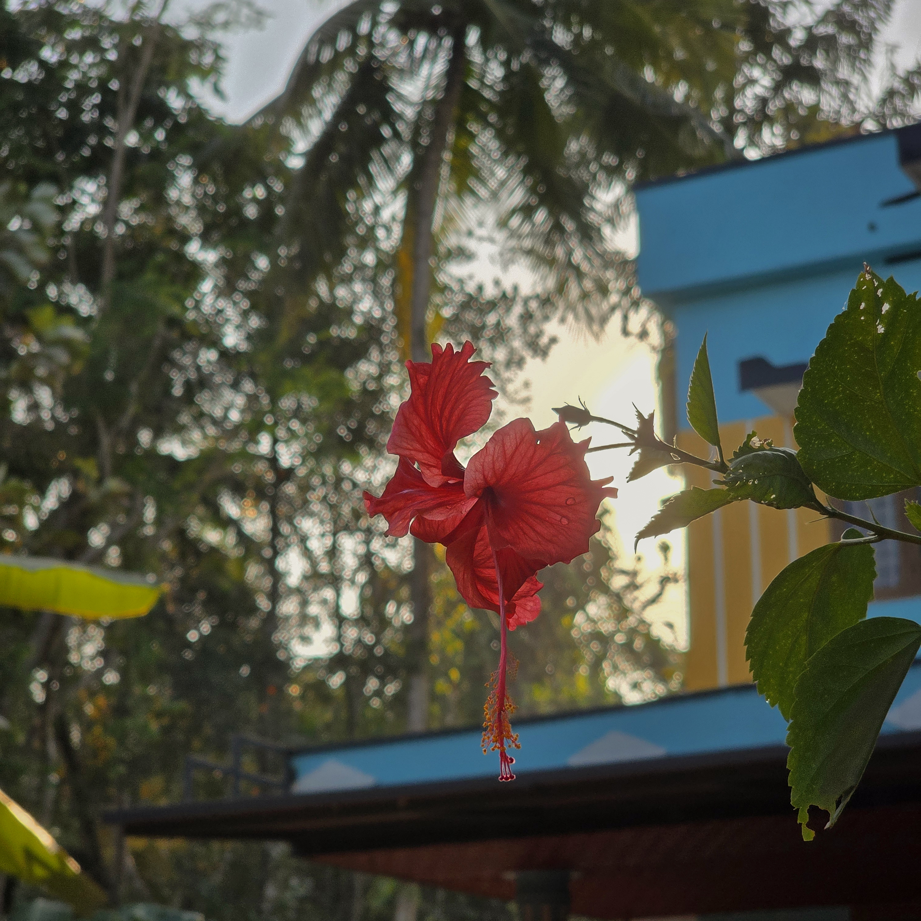 Landscape Photo 6