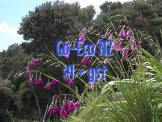 Dierama pulcherimum, Angels Fishing Rods, cerise