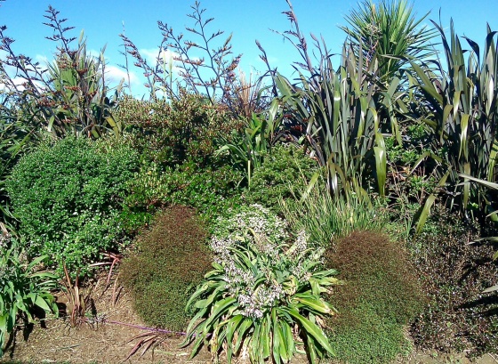 Landscaping NZ