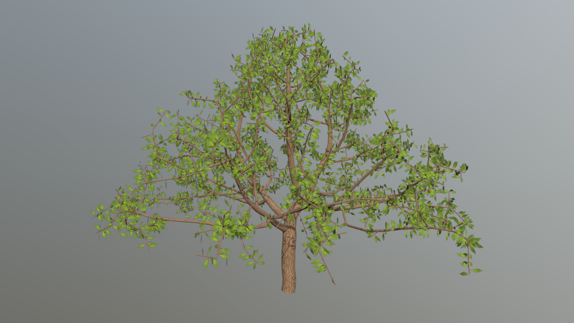 Simple Tree