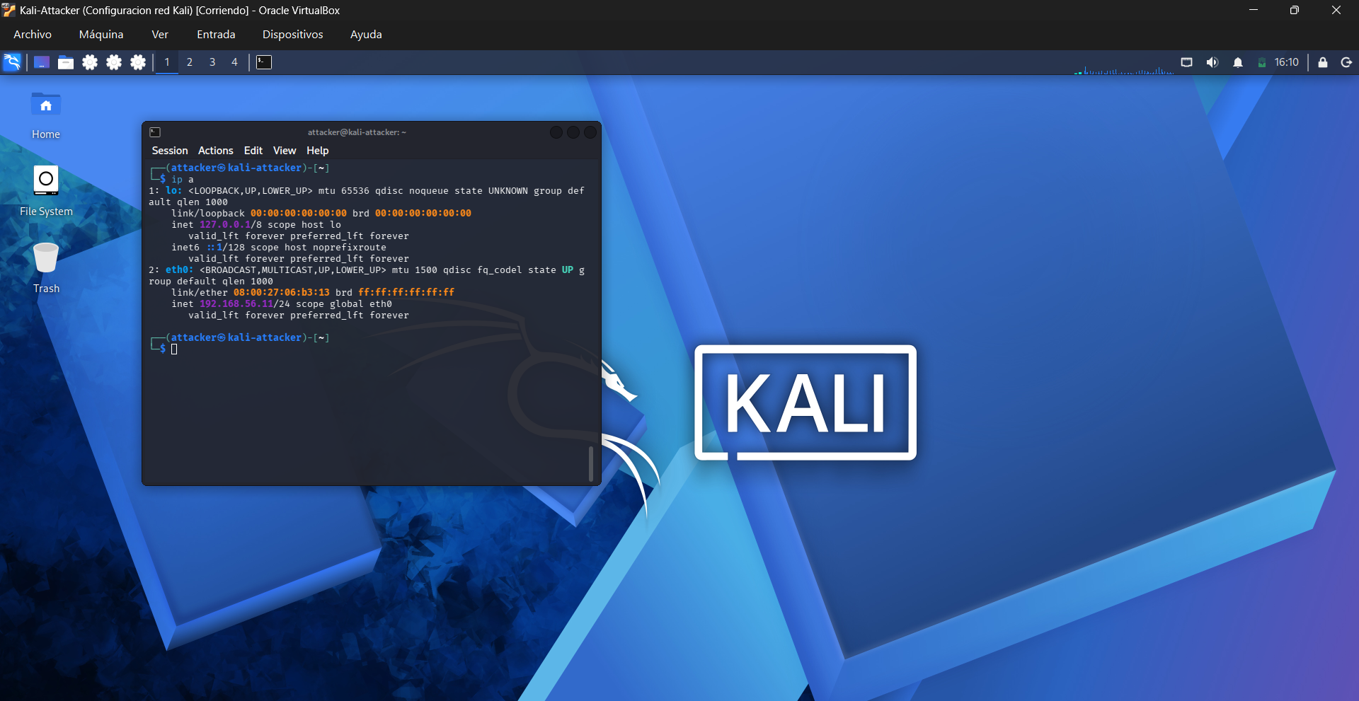 Kali 网络