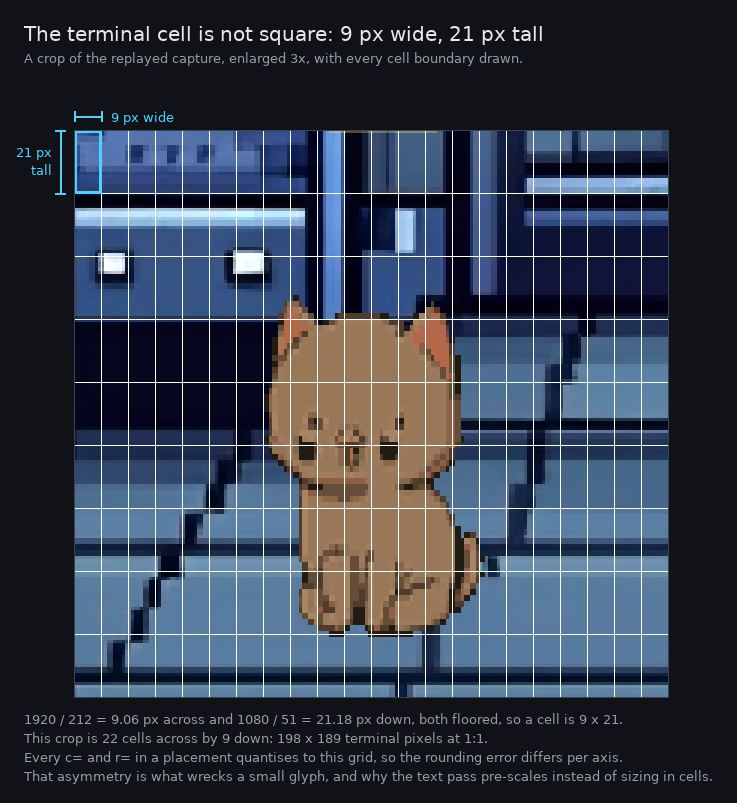 A close crop of a cat sitting in the room, enlarged three times, with every terminal cell boundary drawn as a white line. The cells are visibly tall rectangles rather than squares. The top-left cell is outlined in cyan and dimensioned as 9 pixels wide by 21 pixels tall.