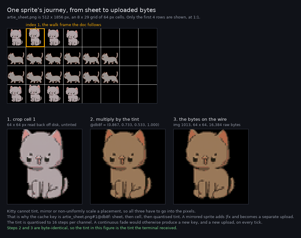 Three stages of one sprite. At the top, the first four rows of the cat sprite sheet at actual size with a grid over the 64 pixel cells and cell index 1 outlined in amber. Below, three enlarged panels: the cropped cell as a pale grey cat, the same cat multiplied by a warm brown tint, and the bytes actually sent to the terminal, which are identical to the tinted version.