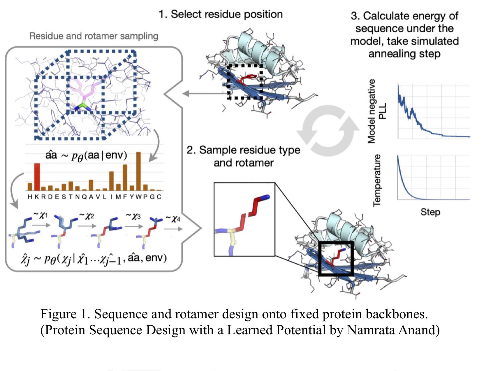 Protein Sequence Design Algorithm Process Description