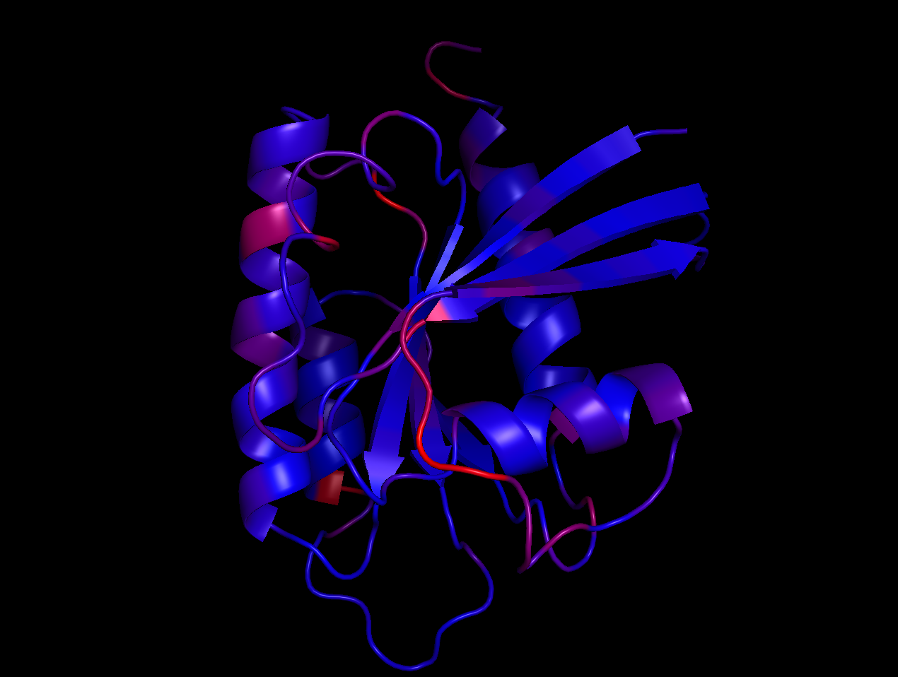 an example of a protein fold with PyMol