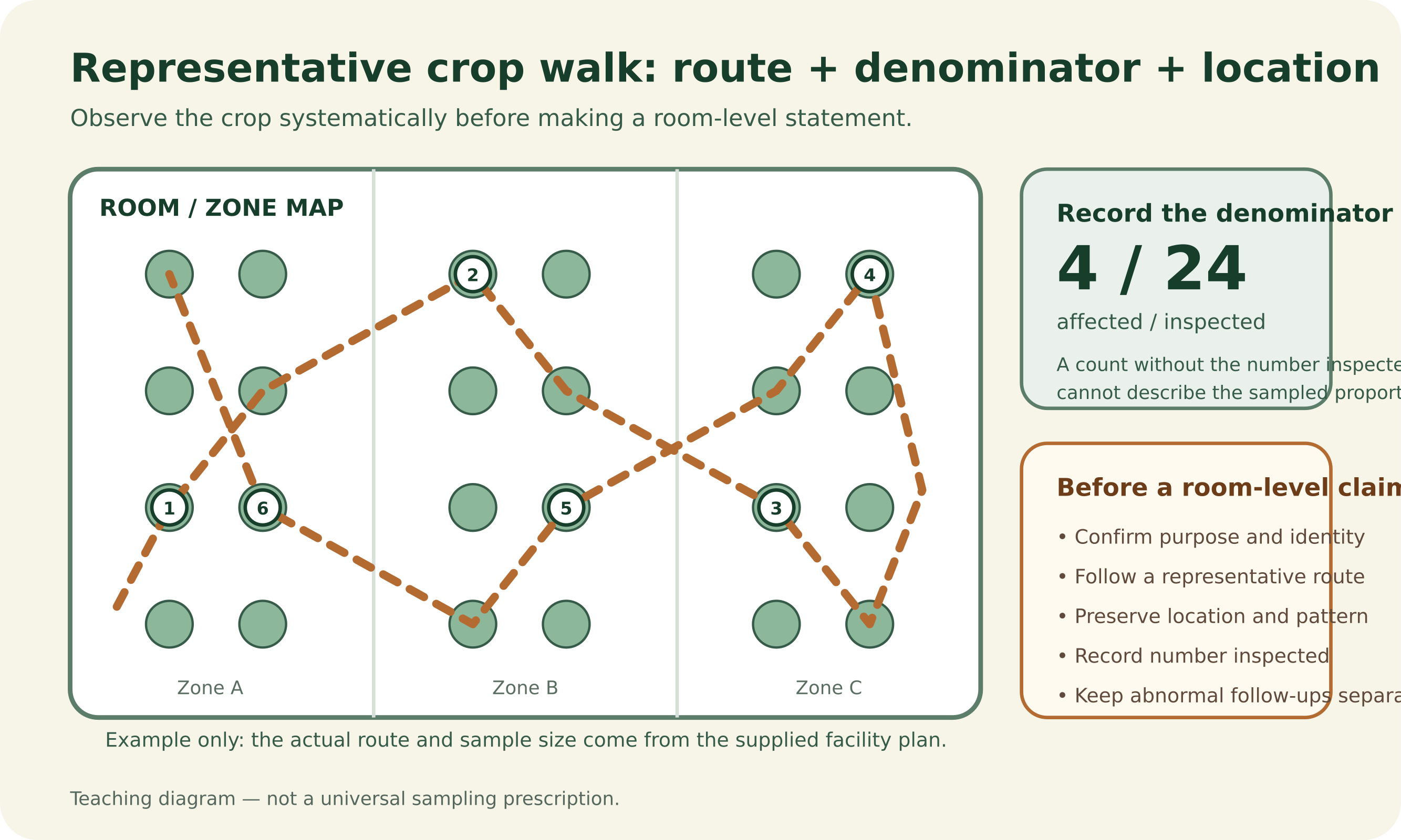 Simplified crop-room map showing a repeatable route through edge, center and process zones, numbered observation points, and an example record of four affected plants out of twenty-four inspected, with a note that the exact route and sample size follow the facility plan.