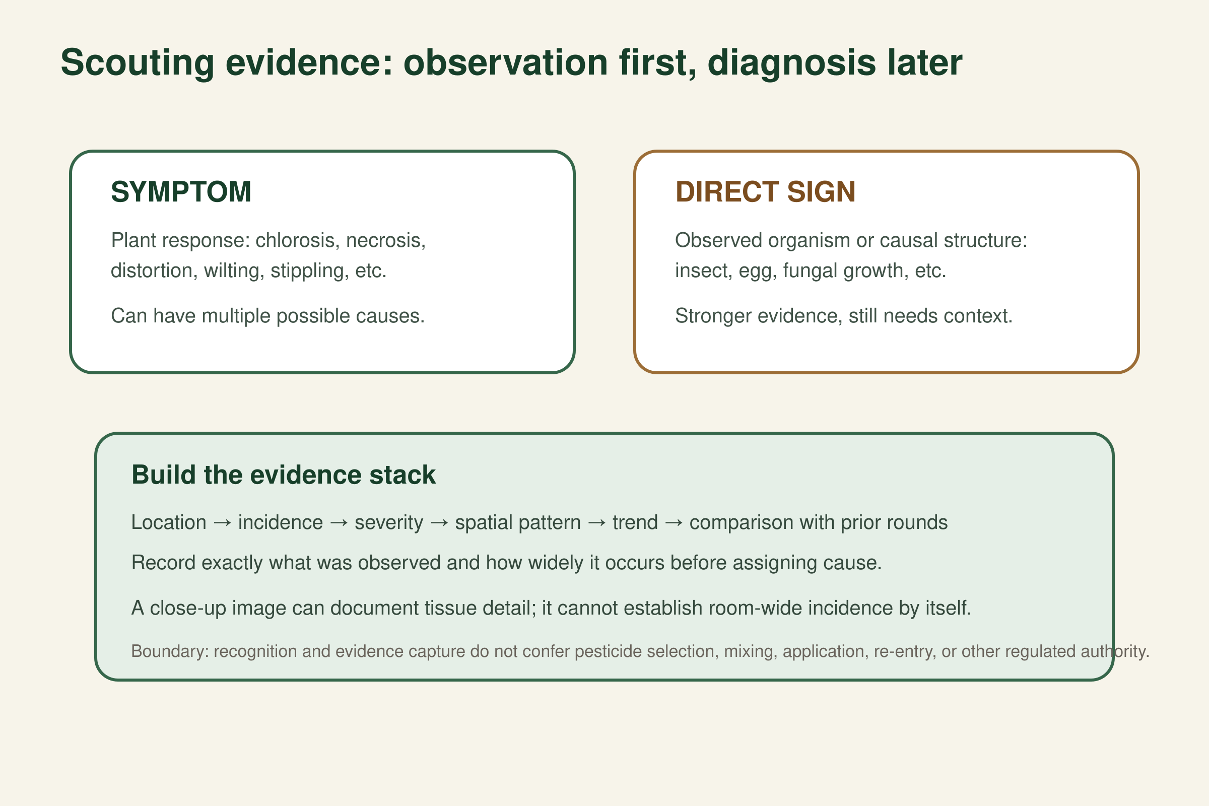 Comparison of plant symptoms and direct signs followed by location, incidence, severity, spatial pattern and trend as an evidence stack before diagnosis.