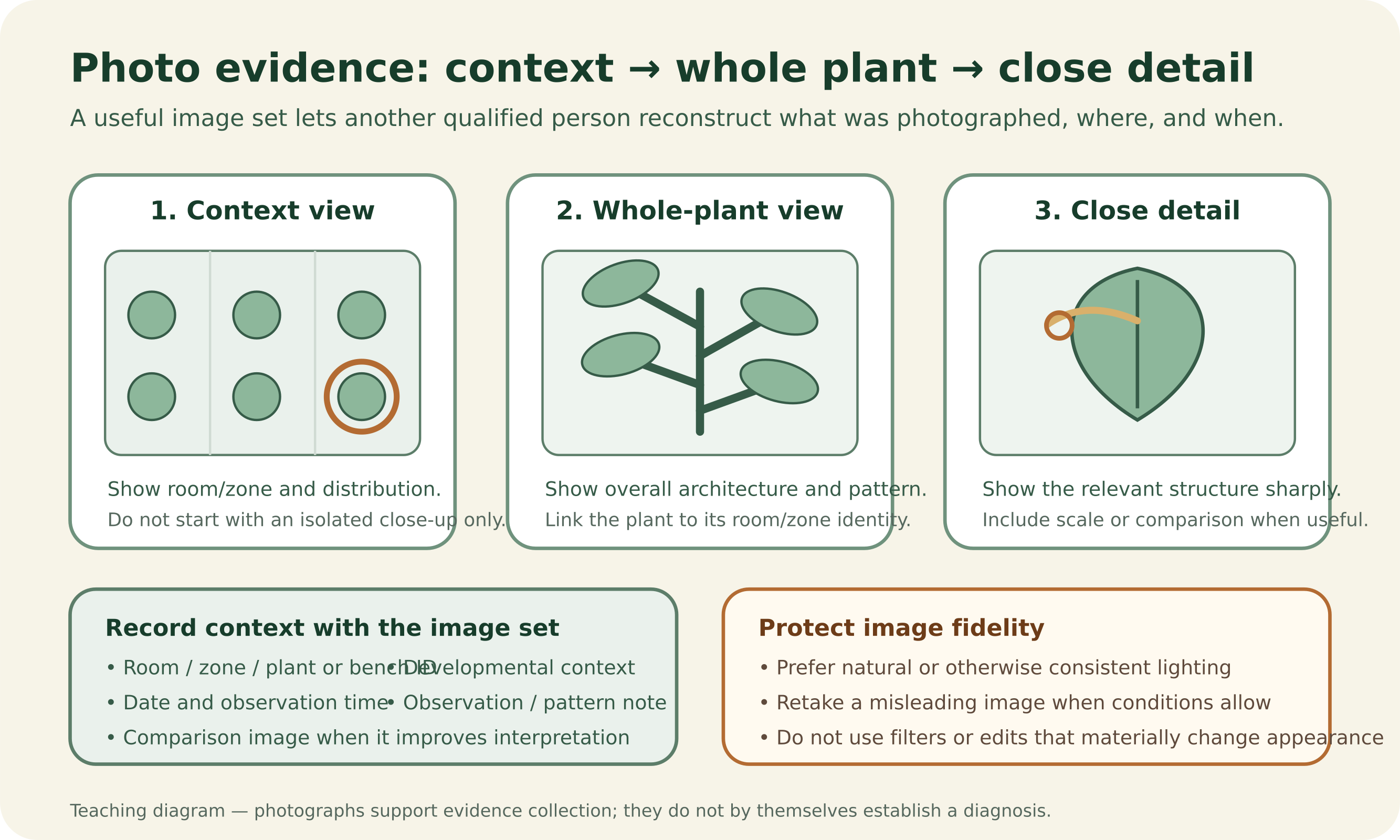 Three-panel diagram showing a context view of the crop area, a representative whole-plant view, and a close-detail view, followed by record fields for identity and time and reminders to use consistent lighting, retake misleading photos when possible, and avoid filters that materially change appearance.