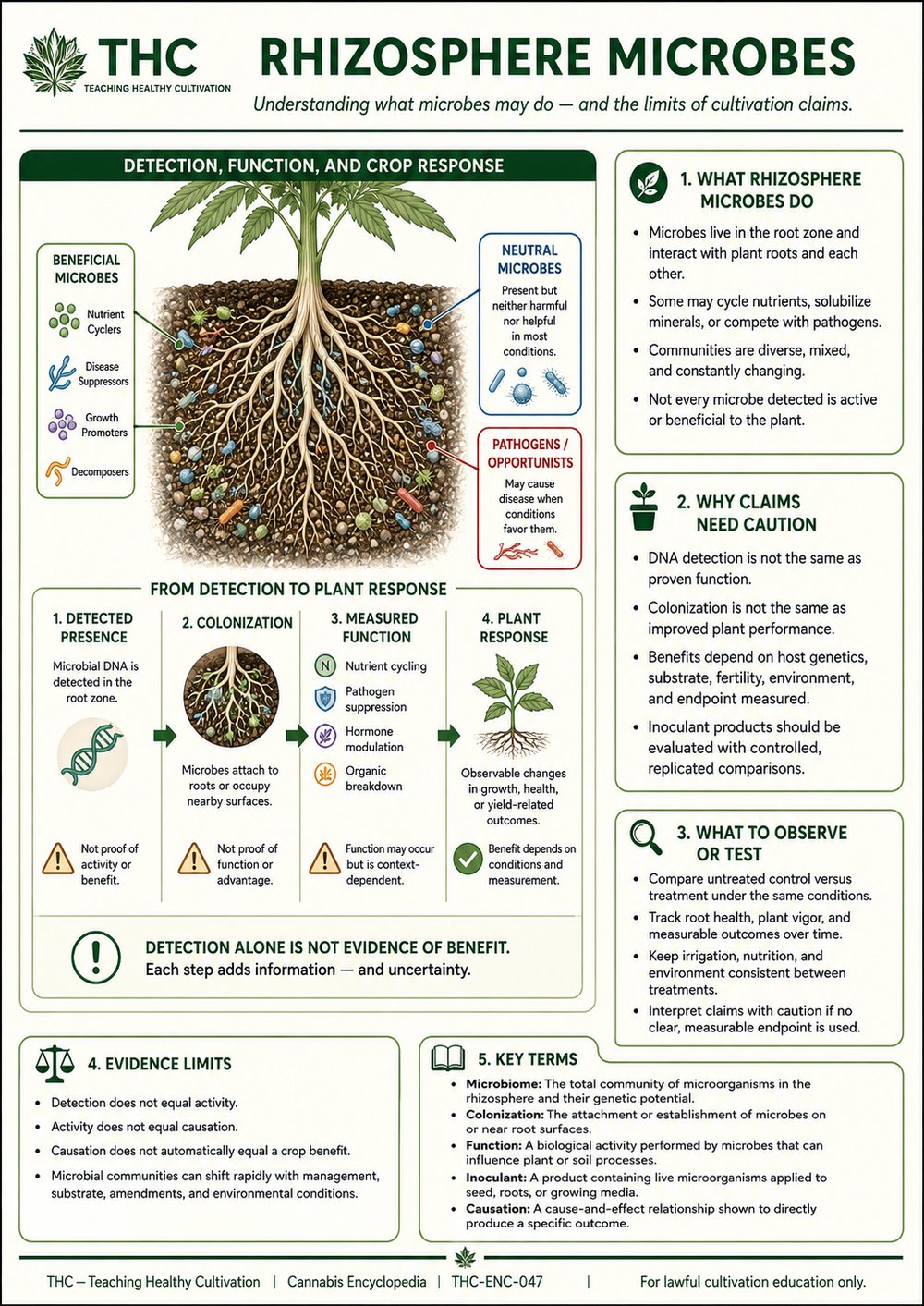 Rhizosphere Microbes: Functions and Limits of Claims — controlled companion teaching visual