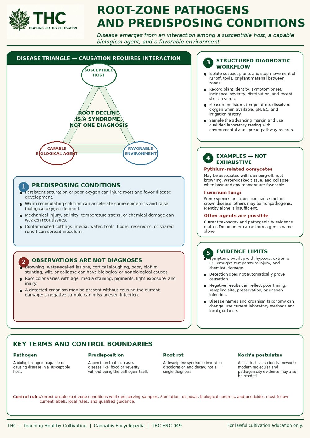 Root-Zone Pathogens and Predisposing Conditions — controlled companion teaching visual