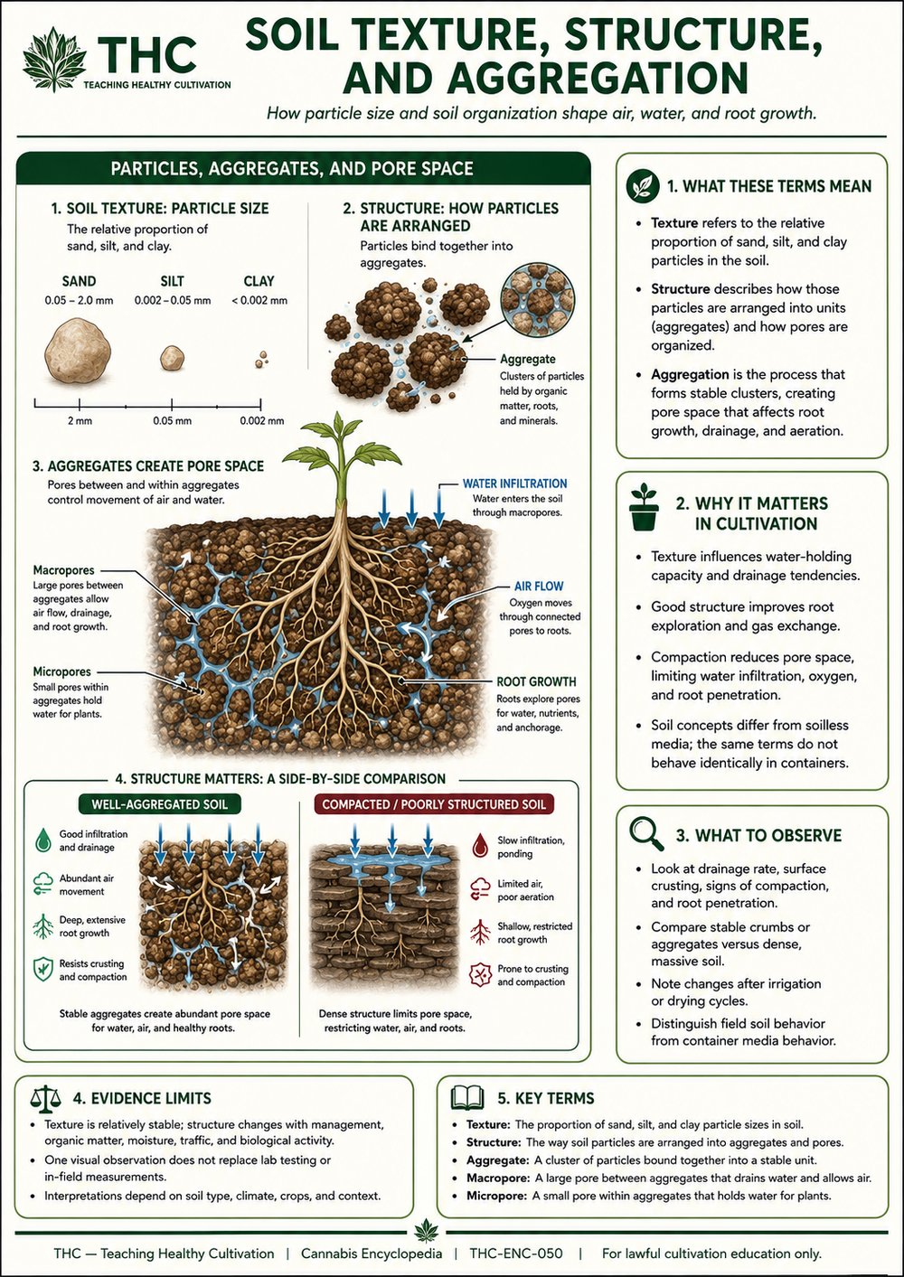 Soil Texture, Structure, and Aggregation — controlled companion teaching visual