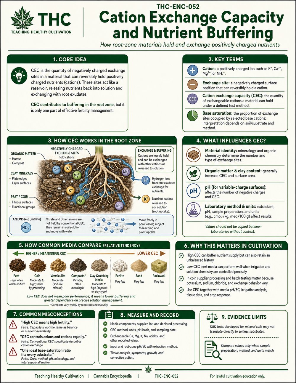 Cation Exchange Capacity and Nutrient Buffering — controlled companion teaching visual