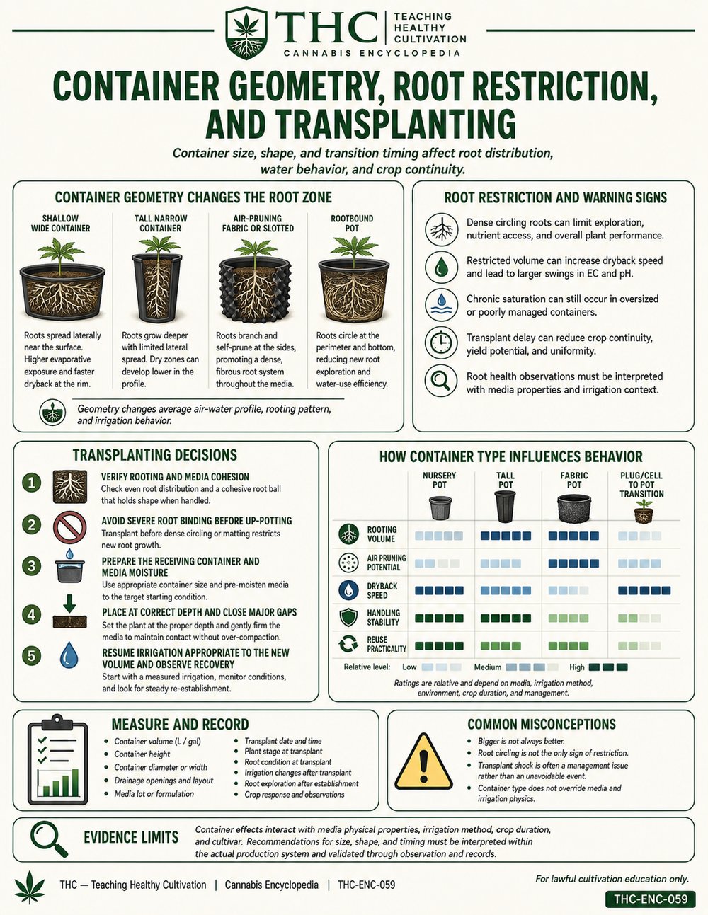 Container Geometry, Root Restriction, and Transplanting — controlled companion teaching visual