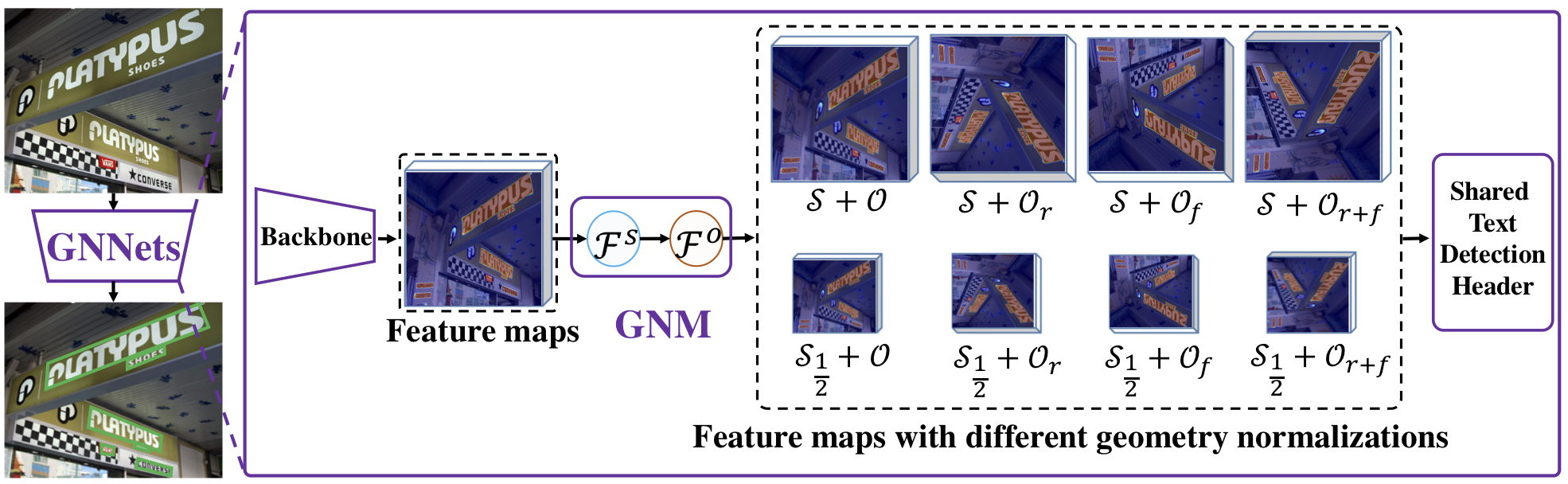 The framework of the proposed Geometry Normalization Networks.