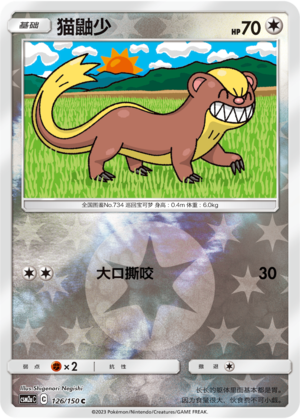 猫鼬少