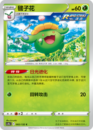 Skiploom