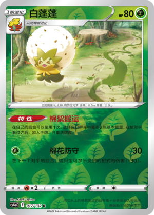 白蓬蓬