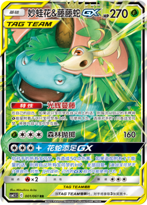 妙蛙花&藤藤蛇GX / Venusaur & Snivy GX