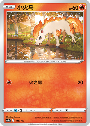 小火马 / Ponyta