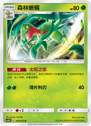 森林蜥蜴 / Grovyle