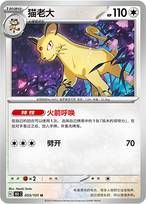 猫老大 / Persian