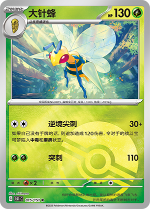 大针蜂