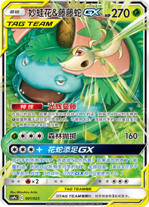 妙蛙花&藤藤蛇GX / Venusaur & Snivy GX